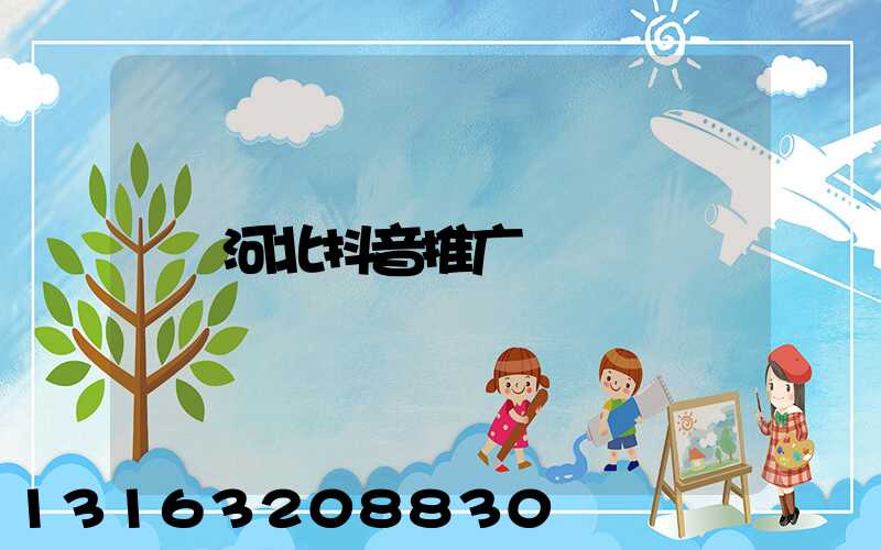 河北抖音推广