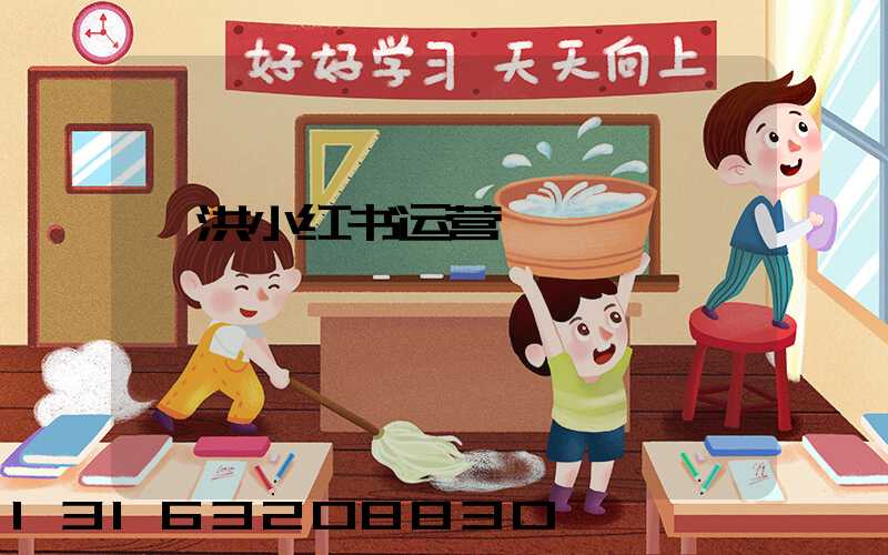 泗洪小红书运营