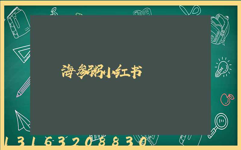 海参粥小红书