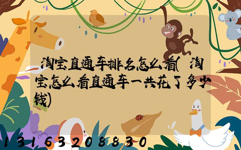 淘宝直通车排名怎么看(淘宝怎么看直通车一共花了多少钱)