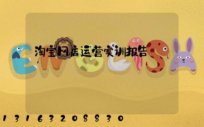 淘宝网店运营实训报告