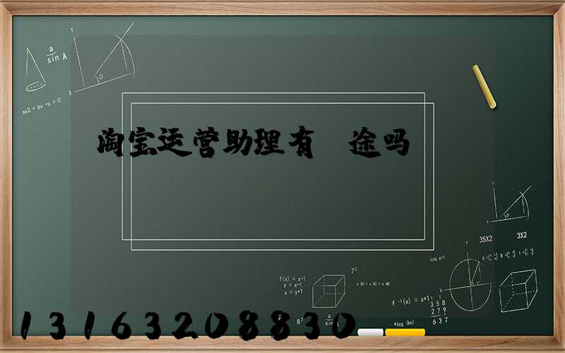 淘宝运营助理有前途吗