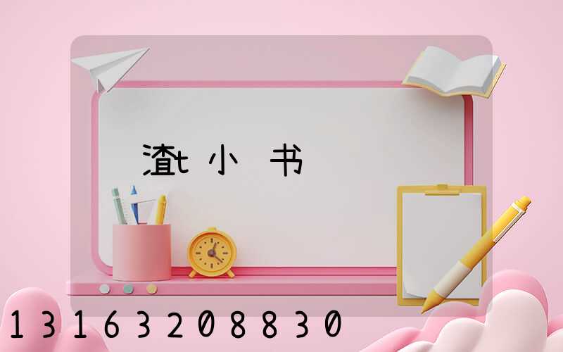 渣t小红书