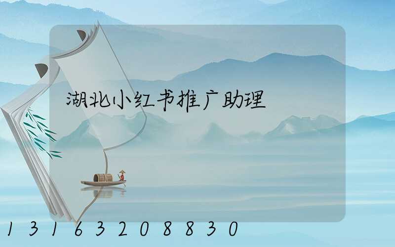 湖北小红书推广助理