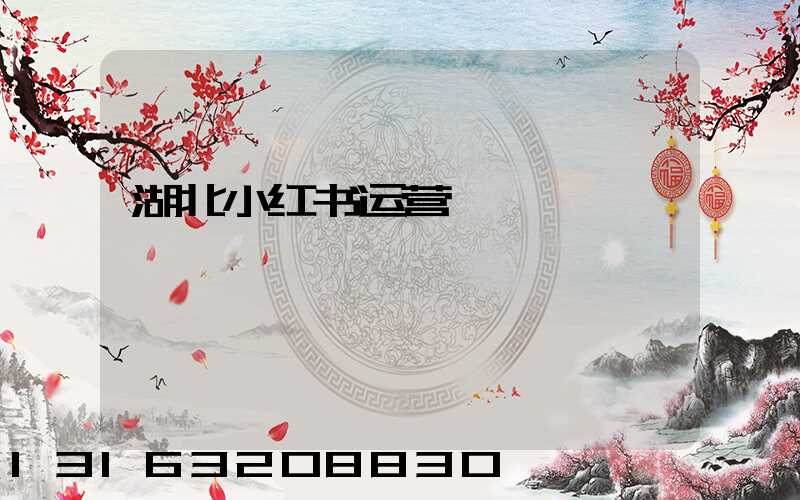 湖北小红书运营