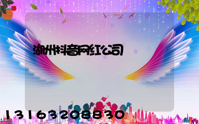 湖州抖音网红公司