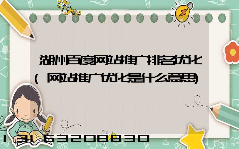 湖州百度网站推广排名优化(网站推广优化是什么意思)