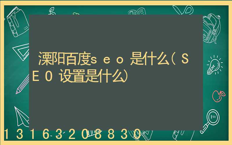 溧阳百度seo是什么(SEO设置是什么)