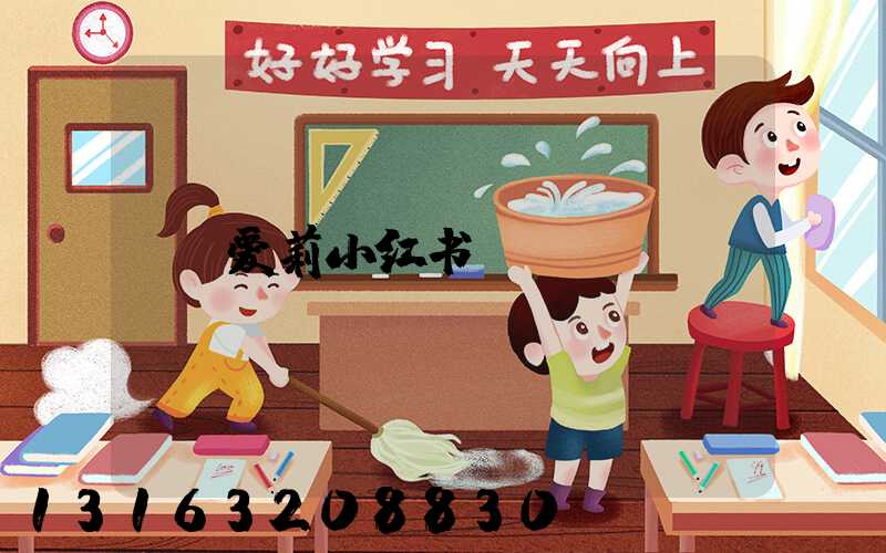 爱莉小红书