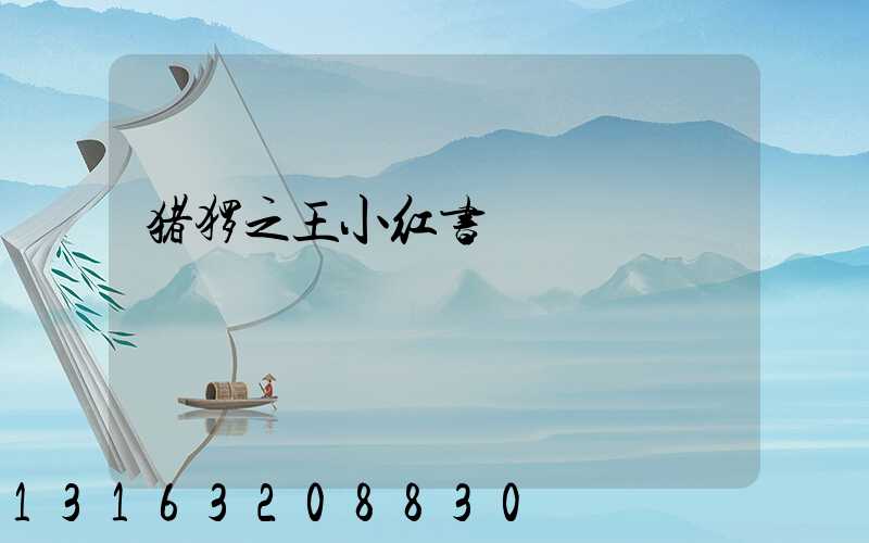 猪猡之王小红书