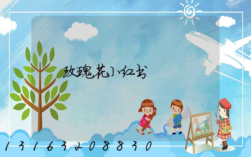 玫瑰花小红书