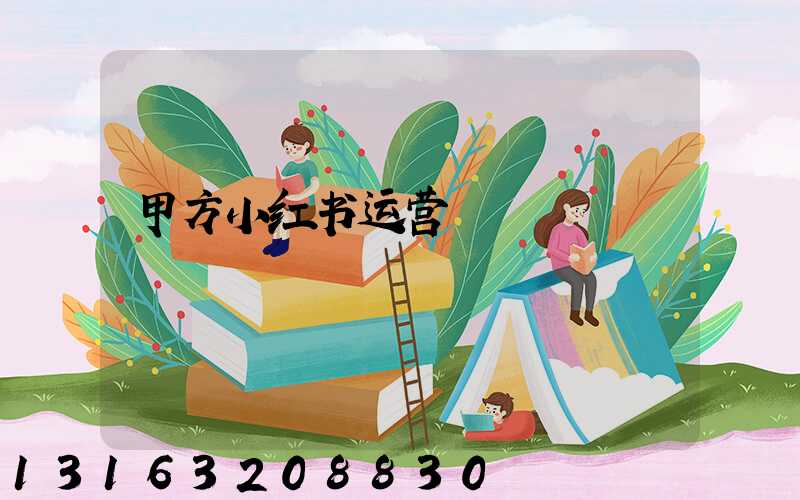 甲方小红书运营