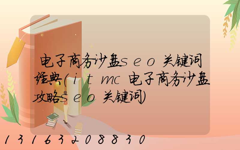 电子商务沙盘seo关键词经典(itmc电子商务沙盘攻略seo关键词)