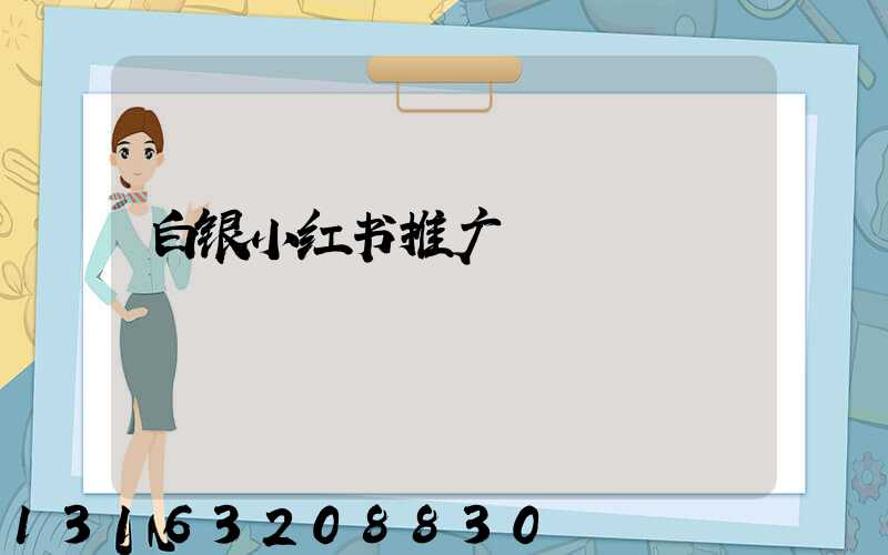 白银小红书推广