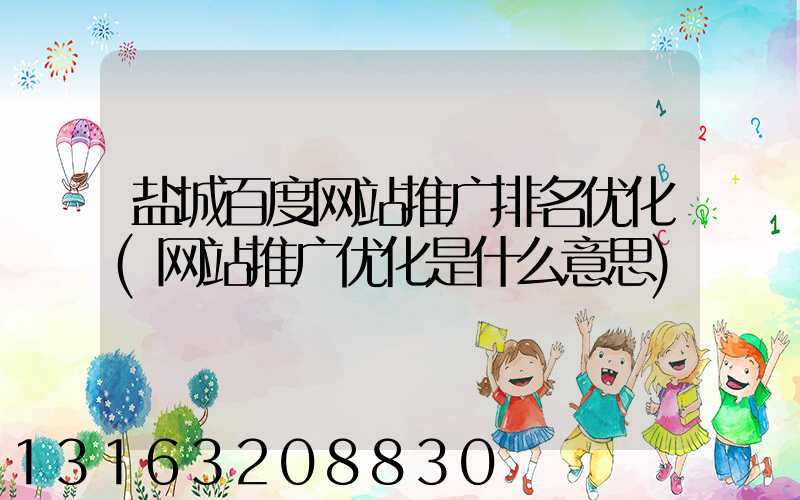盐城百度网站推广排名优化(网站推广优化是什么意思)