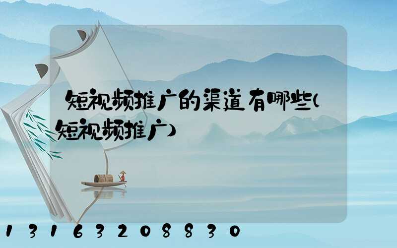短视频推广的渠道有哪些(短视频推广)