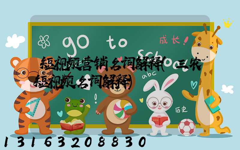 短视频营销名词解释(三农短视频名词解释)