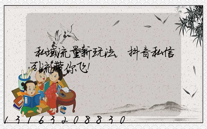 私域流量新玩法，抖音私信引流带你飞！