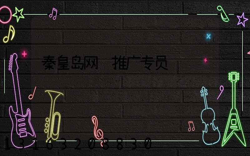 秦皇岛网络推广专员