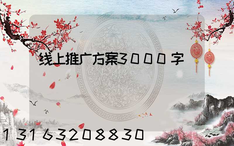 线上推广方案3000字