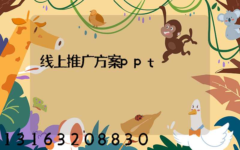 线上推广方案ppt