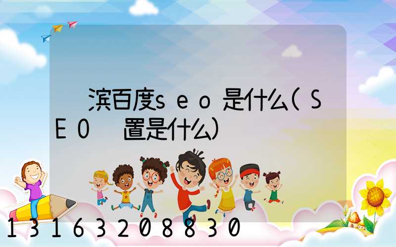 绥滨百度seo是什么(SEO设置是什么)
