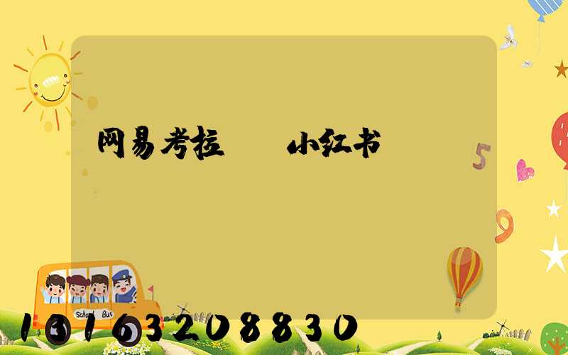 网易考拉__小红书