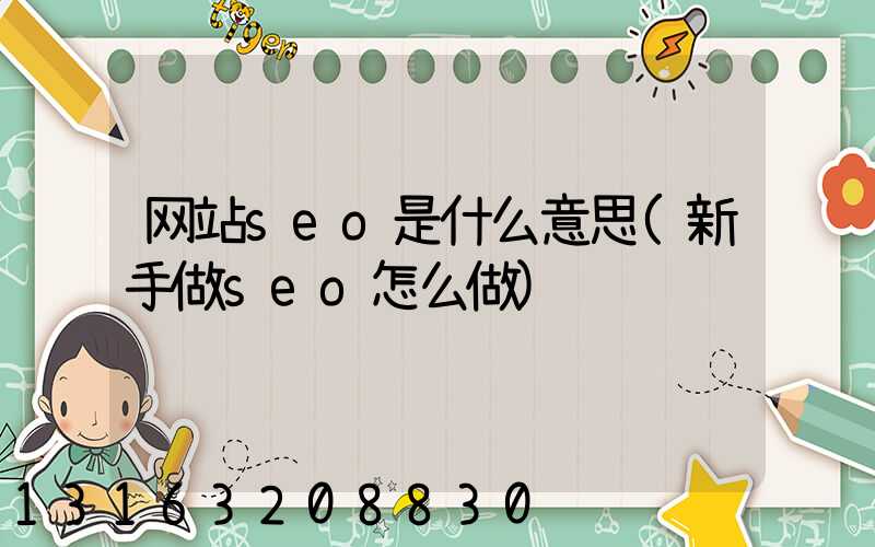 网站seo是什么意思(新手做seo怎么做)