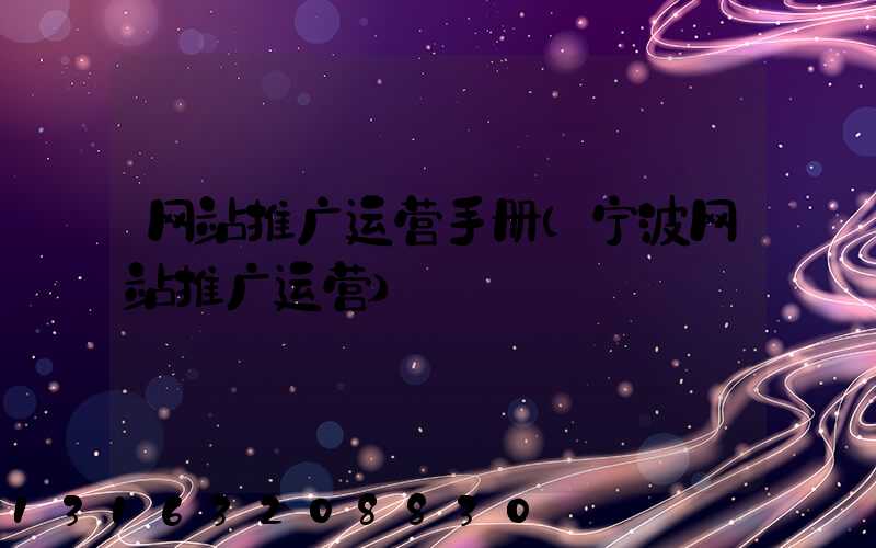 网站推广运营手册(宁波网站推广运营)