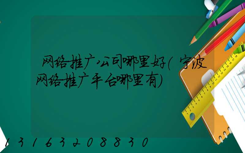 网络推广公司哪里好(宁波网络推广平台哪里有)