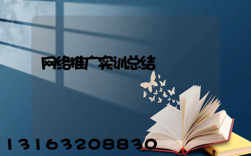 网络推广实训总结
