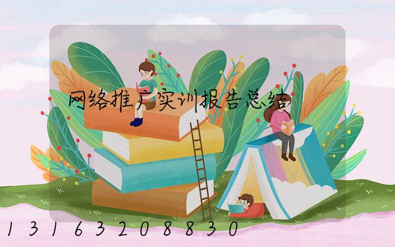 网络推广实训报告总结