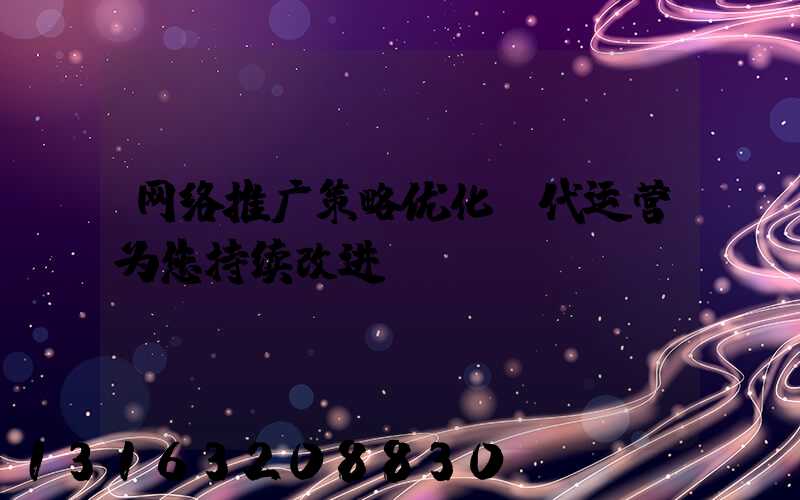 网络推广策略优化，代运营为您持续改进！
