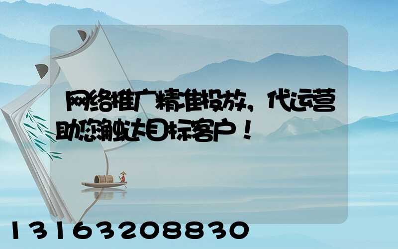 网络推广精准投放，代运营助您触达目标客户！