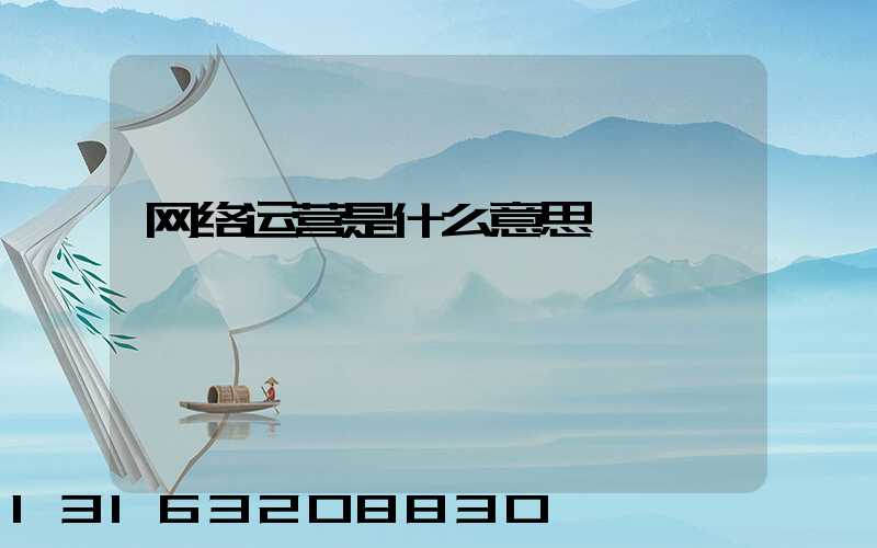 网络运营是什么意思