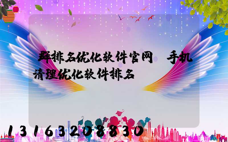群排名优化软件官网(手机清理优化软件排名)