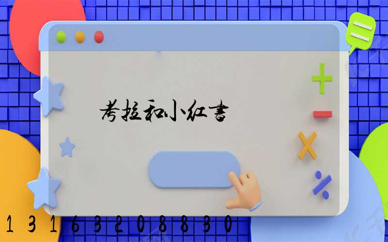 考拉和小红书