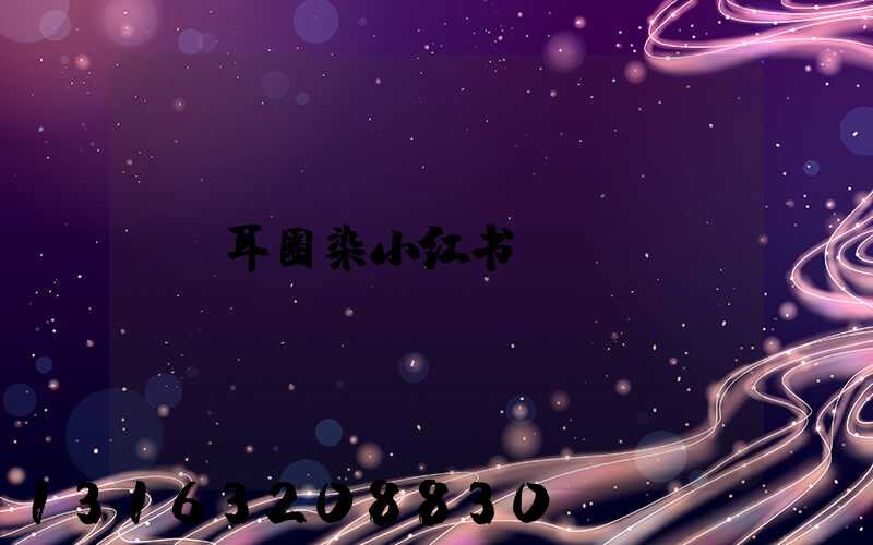 耳圈染小红书