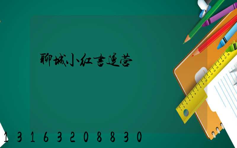 聊城小红书运营
