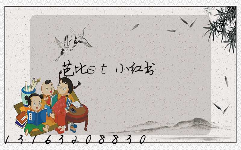 芭比st小红书