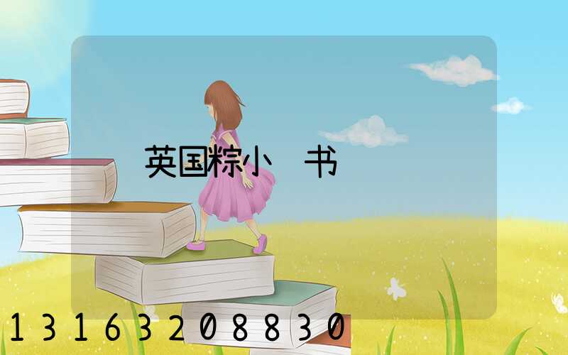 英国粽小红书
