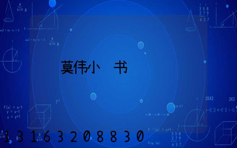 莫伟小红书