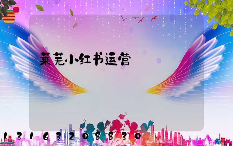 莱芜小红书运营
