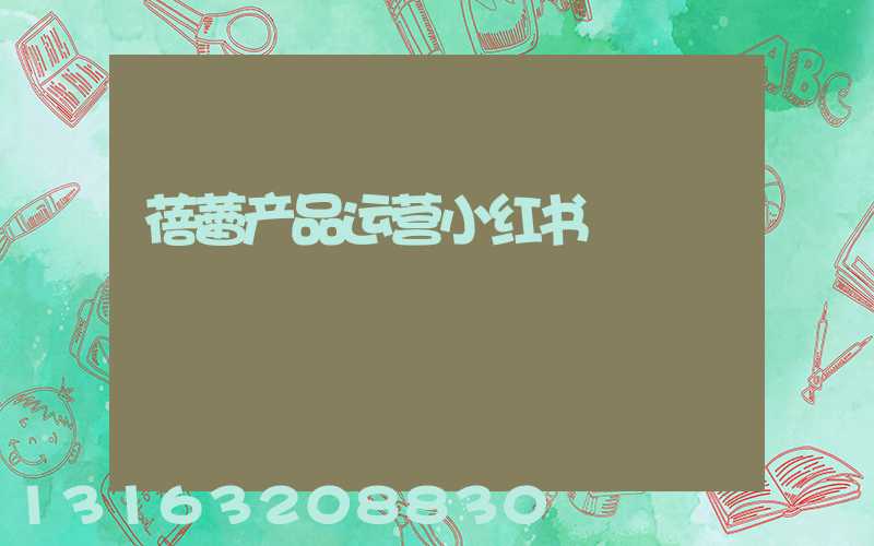 蓓蕾产品运营小红书