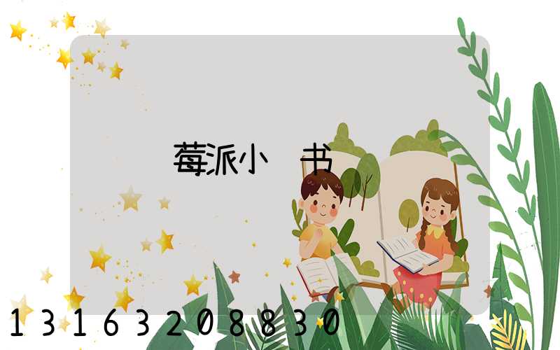 蓝莓派小红书