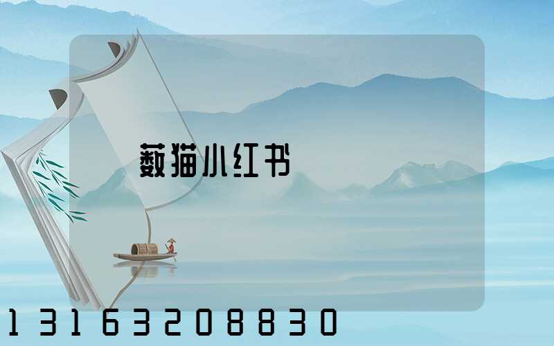 薮猫小红书
