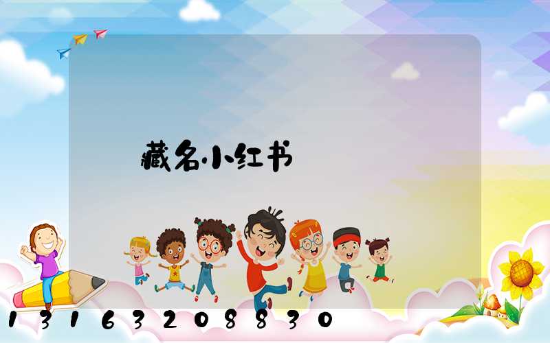 藏名小红书