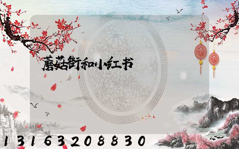 蘑菇街和小红书