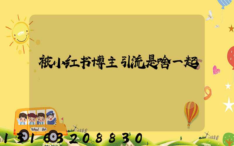 被小红书博主引流是啥一起