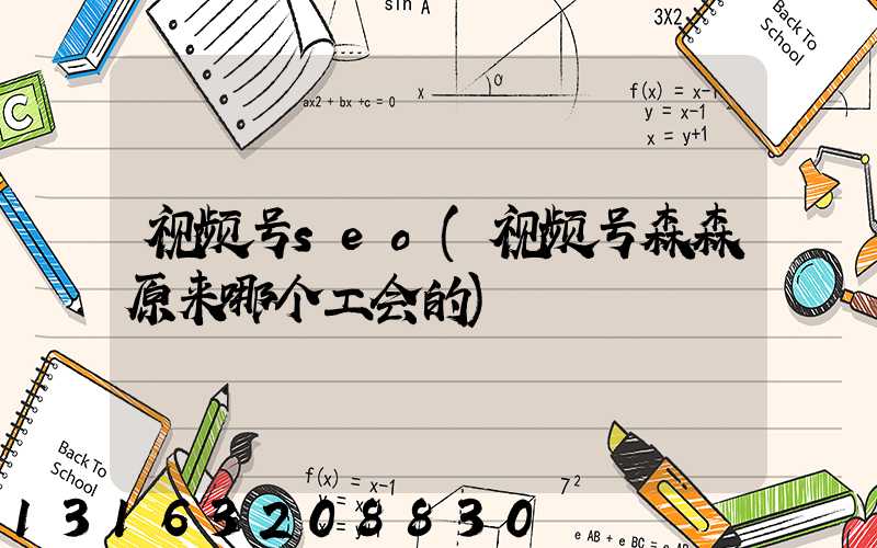 视频号seo(视频号森森原来哪个工会的)